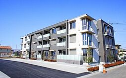 ドルチェカ―ザ 00305