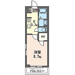 Ｃｅｄａｒ　Ｗｏｏｄ（シダーウッド） 00209