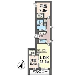 コンフォータス 00204
