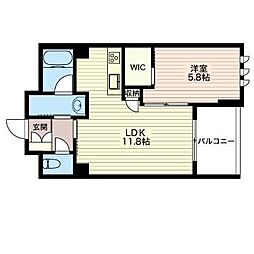 アルテージ錦 00403