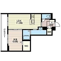 アルテージ錦 00223