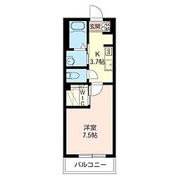 Ｔｒａｐｅｚｉｏ 00305