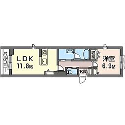 コリーナステラータ 00205