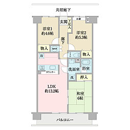 メヌエット81