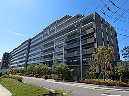 シティテラス八潮