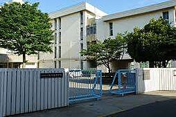 南篠崎町4丁目土地(古アパート付)