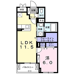 コントレイル 204