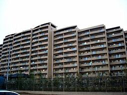 アルファグランデ成田弐番街 1006