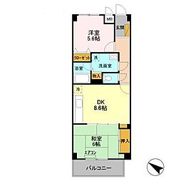 パインツリーコート 305