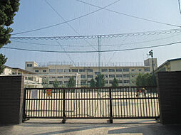 ライオンズマンション市川広尾