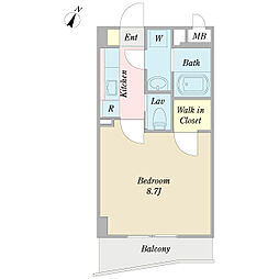 エイシンコート 0206
