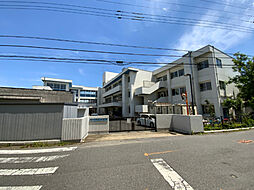 ネオハイツ江戸川台Ａ棟 0311