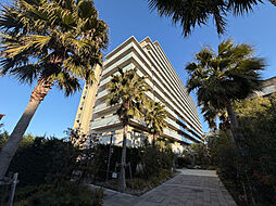 ルピアグランデ柏