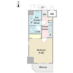 Ｖｅｒｄｅ・Ｃｏｒｕｊａ 0401