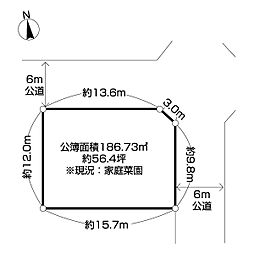柏市大津ヶ丘土地