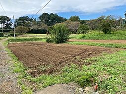 佐野市犬伏中町