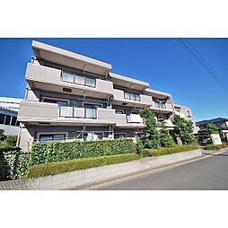 アヴァンティ 312