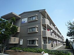 セラヴィI 305
