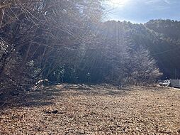 オレンジ小川町上小川猪小屋　売地