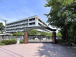 さいたま市浦和区上木崎8丁目　土地