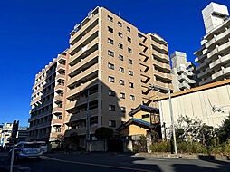 カテリーナ川口並木