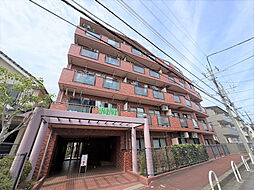 セザール新松戸