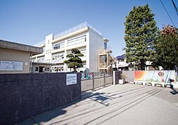 柏市中新宿3丁目 土地
