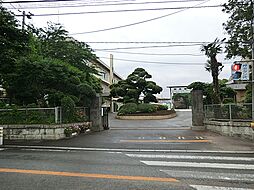 柏市豊四季 戸建て