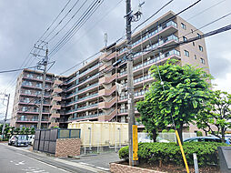 マイキャッスル柏豊四季