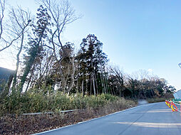 柏市大青田字稲荷山　土地