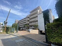 ジュネシオン柏