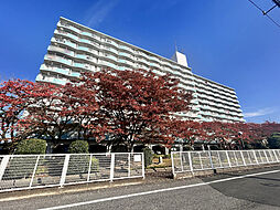 エクレール草加