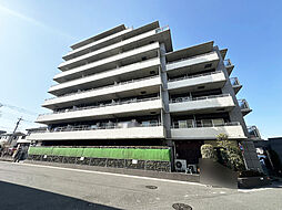 アデニウム越谷