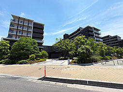 シティテラス八潮