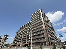 エクセレントプレイス ドリームマークス