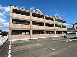 ヴィンテージ桜 301