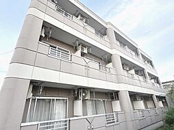 グレースカーサIII 302