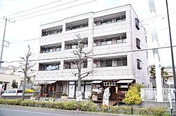 Ｓｕｍｍｅｒ　Ｒｏｕｇｅ 201