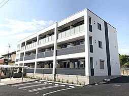 ＣｏｌｌＳｏｌｅｉｌ 201