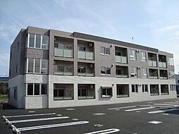 フローリスト 302