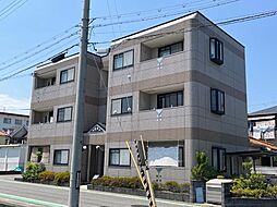 ソレイユ段上 102