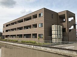 Ｓａｎｓ　ｌｕｃｅ（サン　ルーチェ） 207