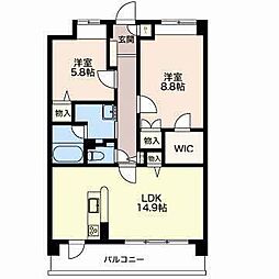 Ｍａｐｌｅ　I 0206