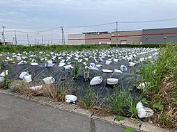 （3号地）金田西特定土地区画整理地　17街区