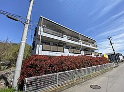 リンピアグレイス