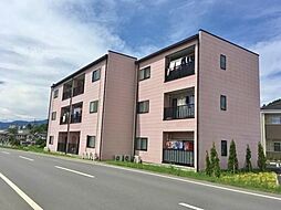 パルメゾントモエ