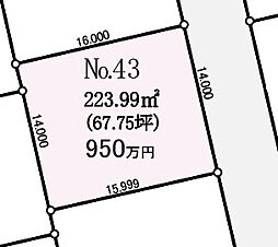 アフェット辰巳　No.43