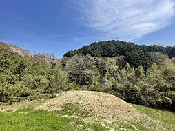 見晴らしの良い土地３９７．３５坪