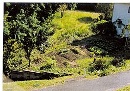 家庭菜園・資材置き場