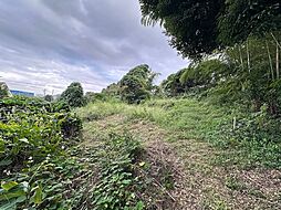 日の出町平井売地　260坪